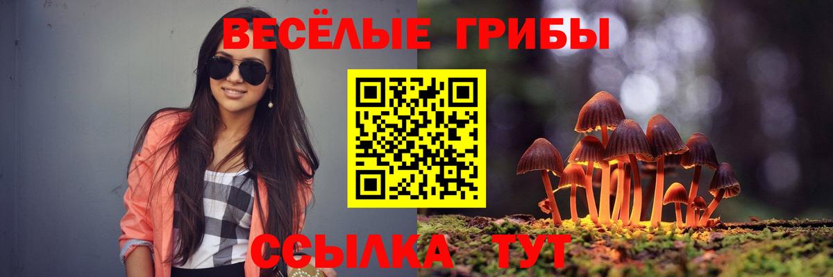 наркошоп  Псилоцибиновые грибы мицелий  Шадринск  Вход с VPN  Псилоцибиновые грибы MAGIC MUSHROOMS 